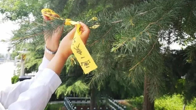 长春墓地价格表中的绿色殡葬来了！