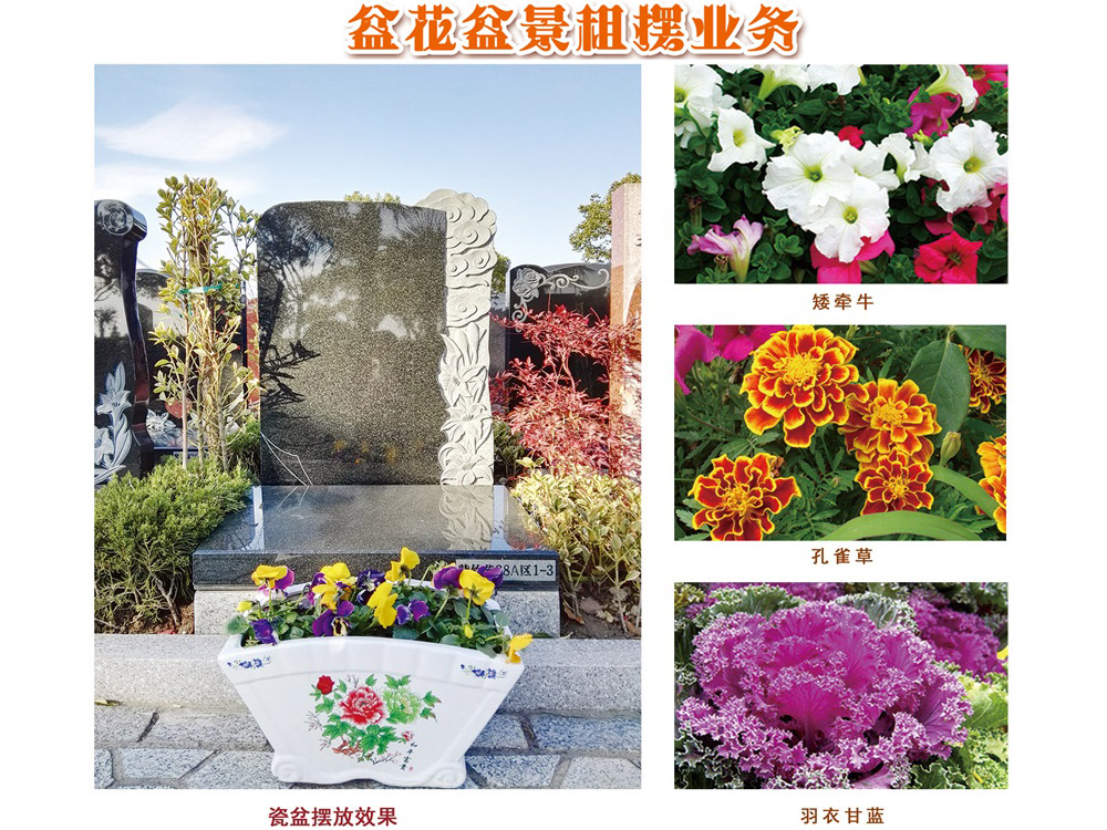 生态葬盆花盆景租摆