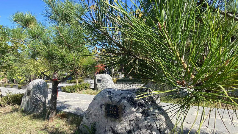 长春陵园讲解火化与火化焚烧设备