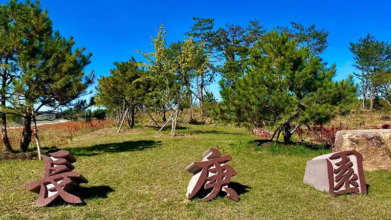 如何选择一块好的长春墓地？