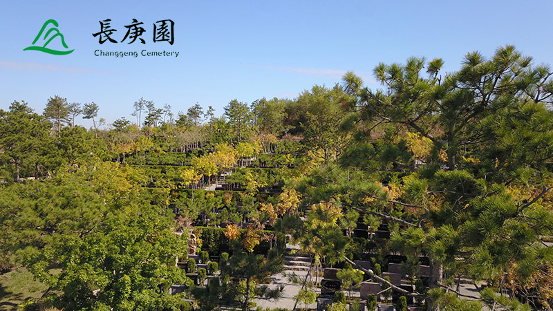 长春陵园全款购买后退款政策及流程！