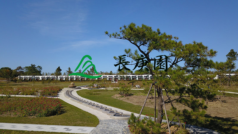 长春墓地多样墓型选择，满足个性化安葬需求