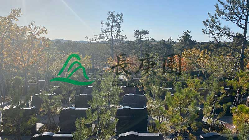 长春长庚园公墓，透明费用下的亲民墓地推荐