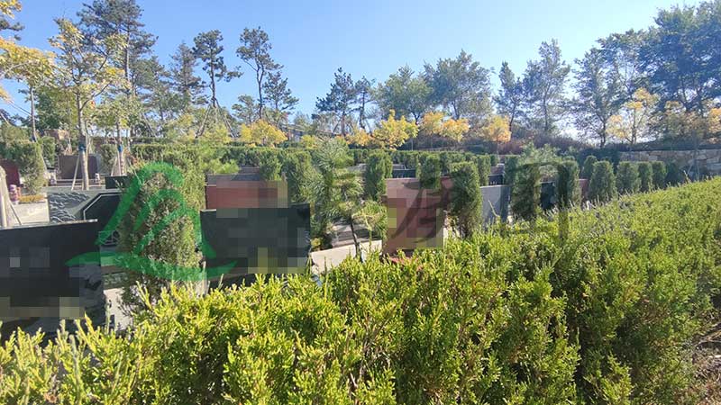 长春长庚园：青松翠柏间的生态福地，守护亲人永恒的纪念