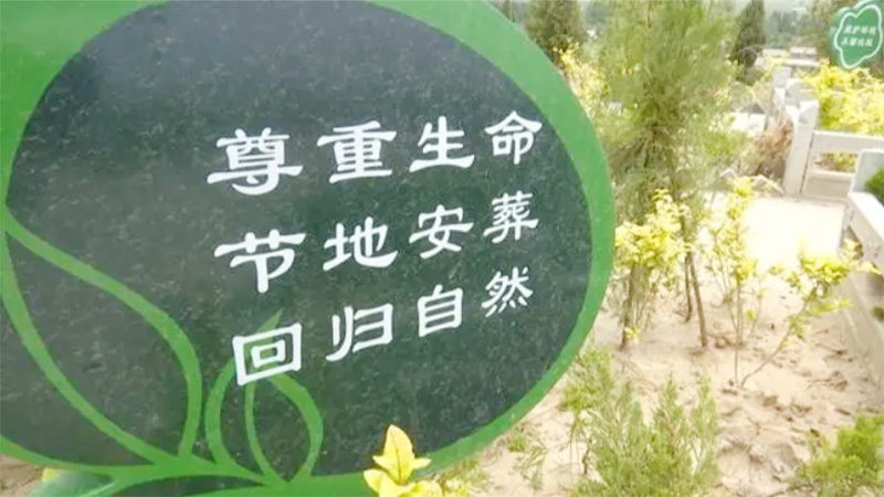 让生命回归自然，长春陵园科普一下时下流行的生态葬法