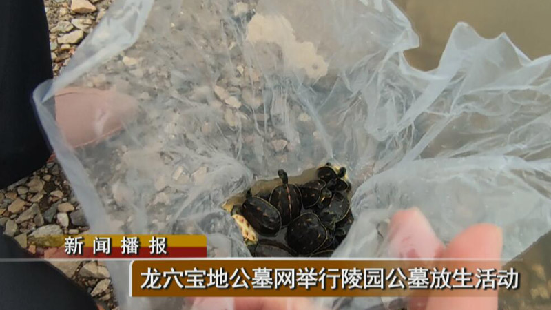 长春长庚生态陵园举行墓园公墓放生活动